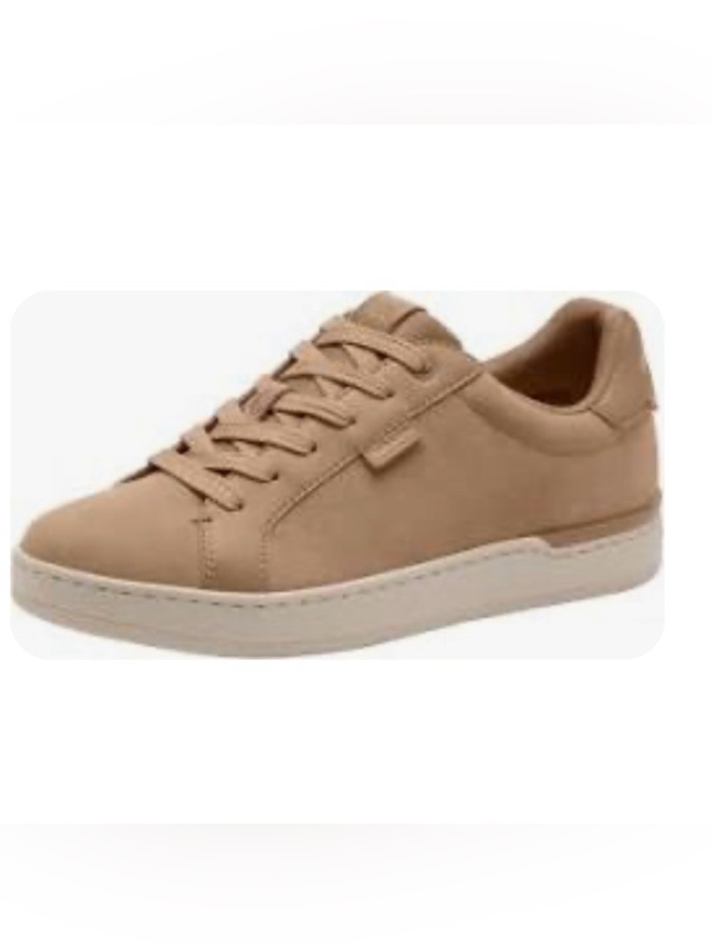 Coach Women’s Lowline Suede Sneaker